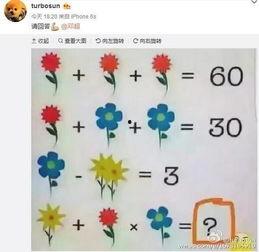 娱乐吃瓜酱数学题,一场趣味与智慧的较量